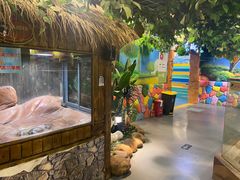 -顺德南宏海立方海洋公园