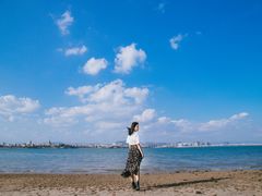 -海堤纪念公园