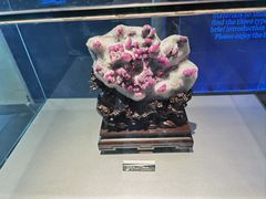 -中国地质博物馆
