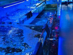 -渔民船说·北塘海鲜·天津菜·海肠捞饭(北塘古镇店)