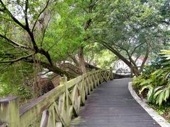 -广州市流溪河国家森林公园