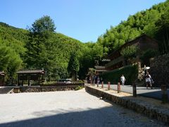-仙霞关景区