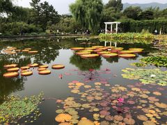 -国家植物园南园