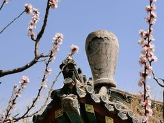 -北京凤凰岭