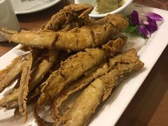 -大眼锅贴饺子(河西店)
