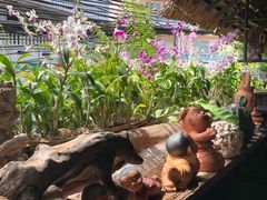-自然餐厅(Phuket)