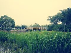 -石湖景区