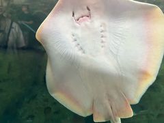 -珠海长隆海洋王国