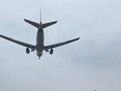 -空港花田景区