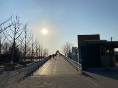 -大兴滨河森林公园