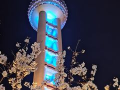 -东方明珠广播电视塔