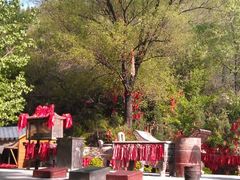 android_upload_pic-蒙山大佛景区