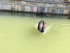 -台儿庄古城