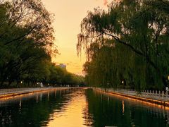 -皇家御河游(紫御湾码头)