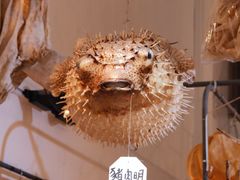 -大澳