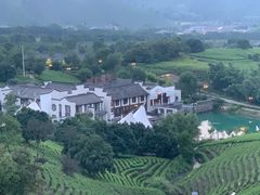 -帐篷客·溪龙茶谷度假酒店