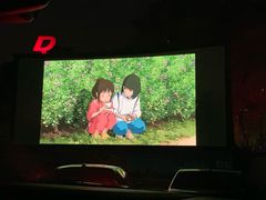 -枫花园汽车电影院(朝阳公园店)