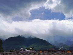 -喵屿·大理花园猫咖