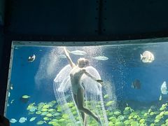 -海合安武汉极地海洋公园
