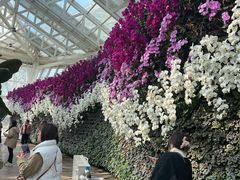 -石家庄市植物园