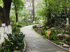 -成都市活水公园