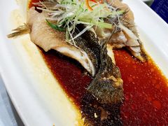 清蒸笋壳鱼-沪碟·精菜坊(闵行店)