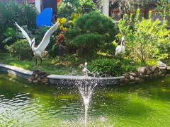 -大亚湾红树林城市湿地公园