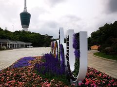 -梧桐山风景名胜区