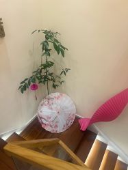 -可樱汇·美容洗发SPA