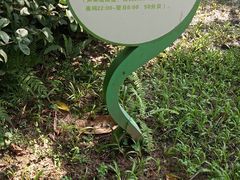 -东风公园