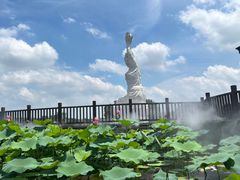-荷塘月色湿地公园·向阳花洲