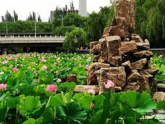 -北陵公园