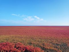 -红海滩国家风景廊道