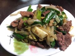 -文章牛肉汤