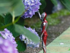 -合肥滨湖国家森林公园