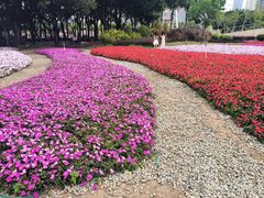 -文华公园(禅城区)