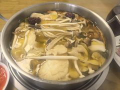 -菌极鲜野生菌火锅店(阳明祠店)