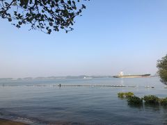 -滨海公园