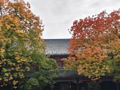 -灵谷景区