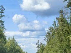 -莫尔道嘎国家森林公园