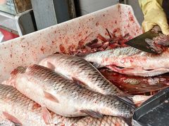 -正宗上海陆记熏鱼