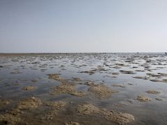 -红树林天天赶海
