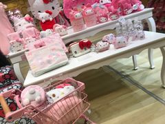 -安吉Hello Kitty乐园