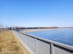 -丁香湖公园