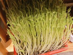 -五星桥原切肥牛火锅·30年专注好牛肉(湖塘店)