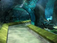 -福州罗源湾海洋世界旅游区