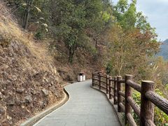 -羚羊峡古栈道森林公园