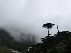-苍山感通索道