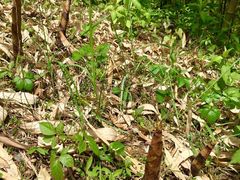 -东天目山风景区