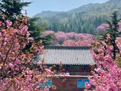 -石岛赤山风景区